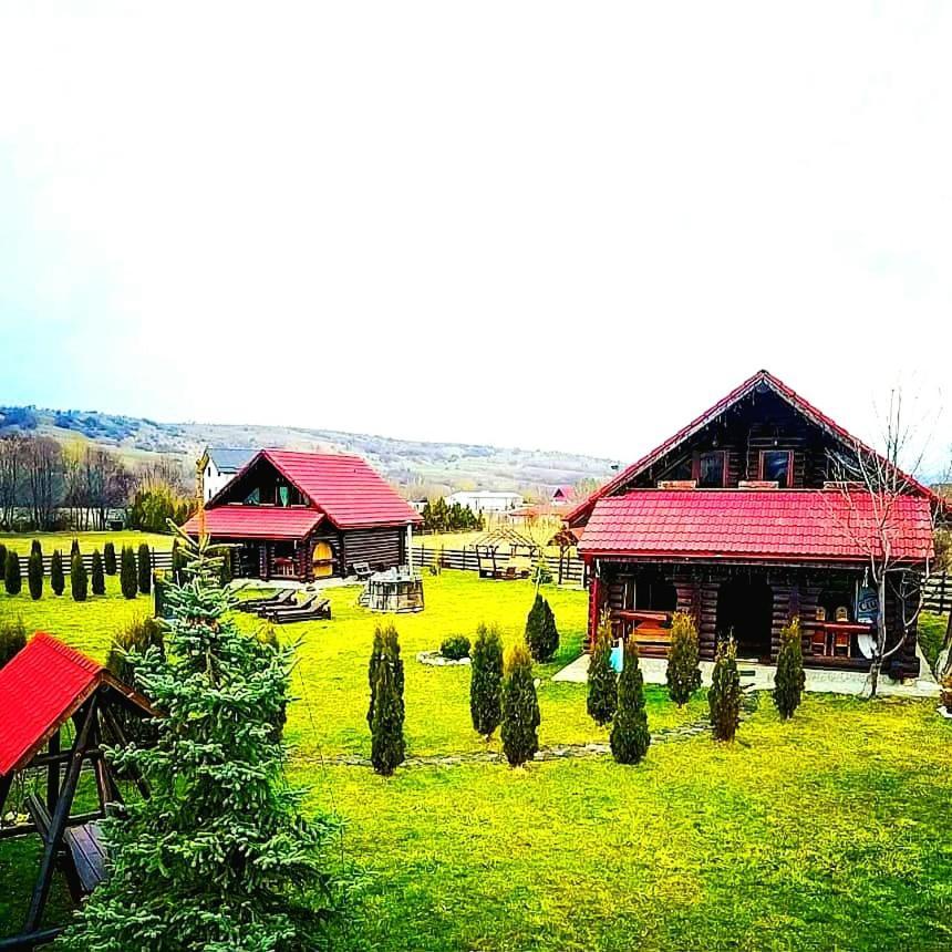 Vila La Casute Bran Bran  Exteriér fotografie